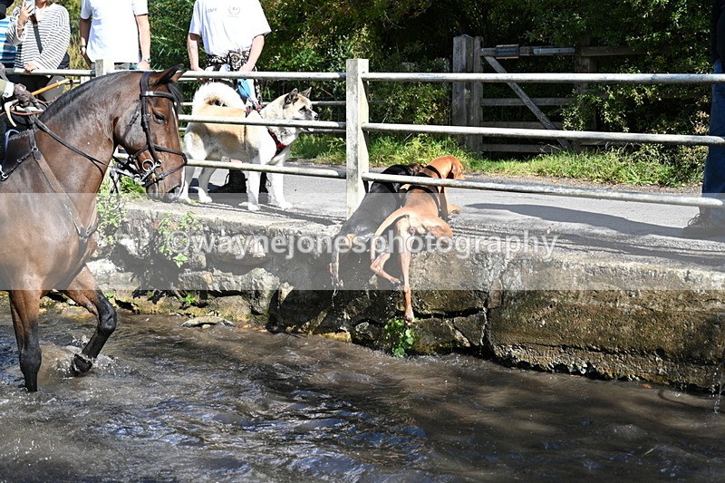 WJ7_6024 - Hounds Water Crossing