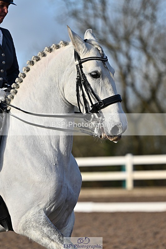 241214-135025-02599 - 102-PAULA.LEE-Deseado.Santo