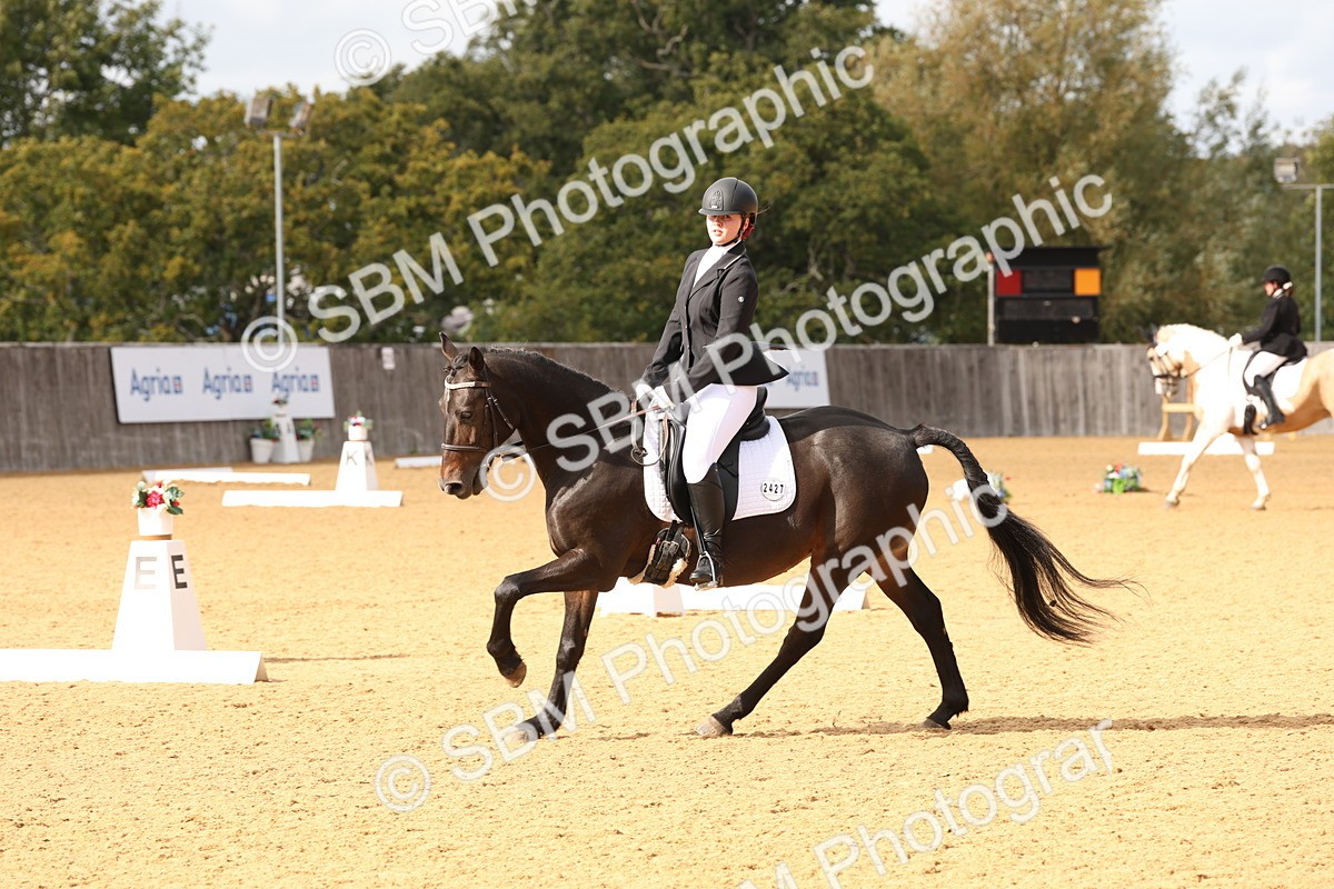 SBM_24662 - D17 - Grand Tour Championship Novice 3