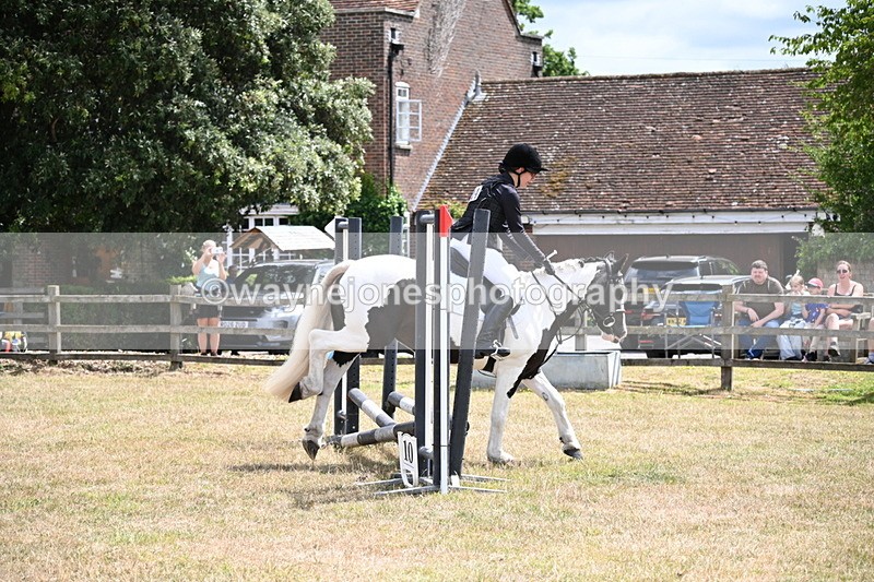 WJ6_5334 - Class 12 Minimus Jumping 45cm