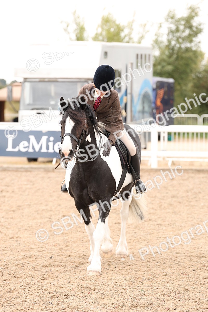 SBM_19726 - Class 216 - Ridden Traditional - Native Cob