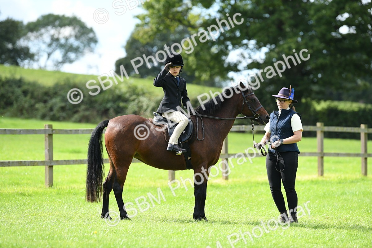 SBM_42538 - S20 - Lead Rein Mountain & Moorland Pony