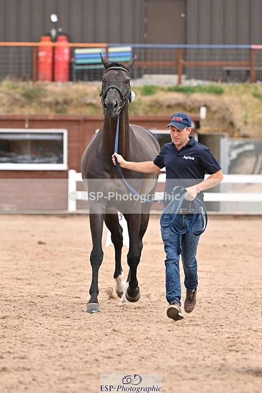 250716-152553-01938 - Trot Up 2.30 to 3.30