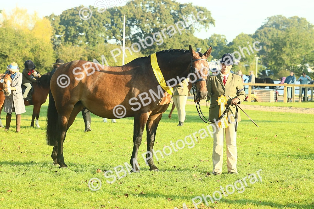 SBM_56748 - S36 - Starters Best Turnout