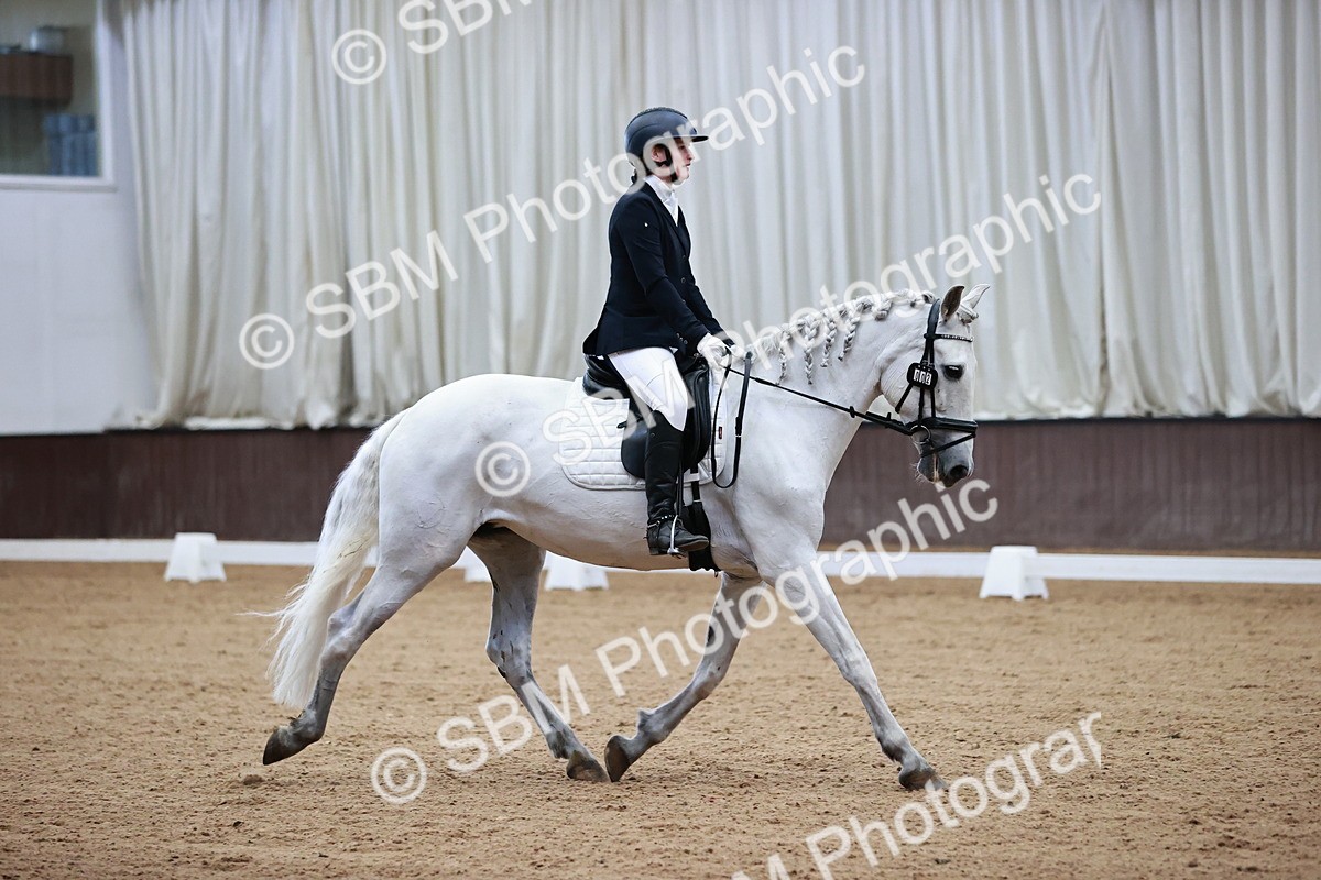 SBM_000810 - Class 2-5-4-6 - Paso Doble-Golega-Novato-Sevilla - FSM