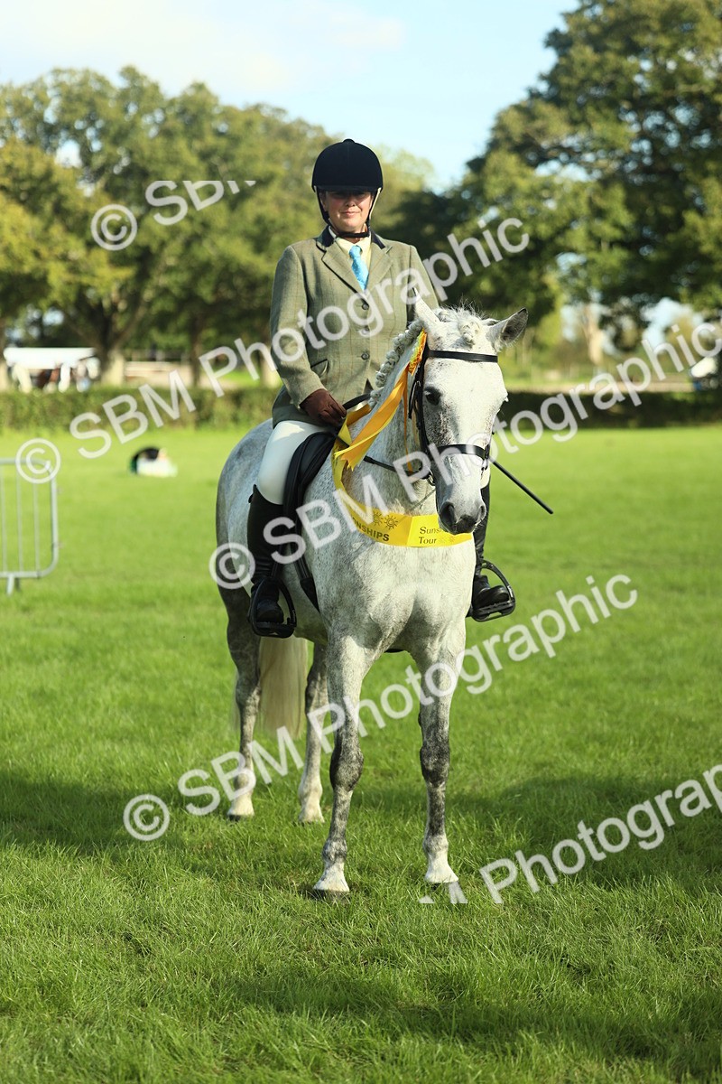 SBM_49914 - S32 - Novice & Newcomers Working Hunter