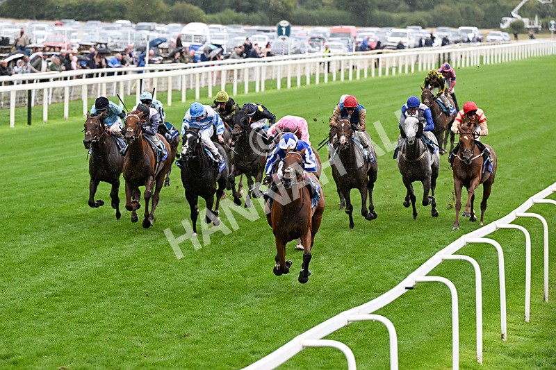 200826-Race 3-The Lost King-0425 - Race 3 15.00pm Sir Kevin Sinfield 7 In 7 Grand Finale Handicap