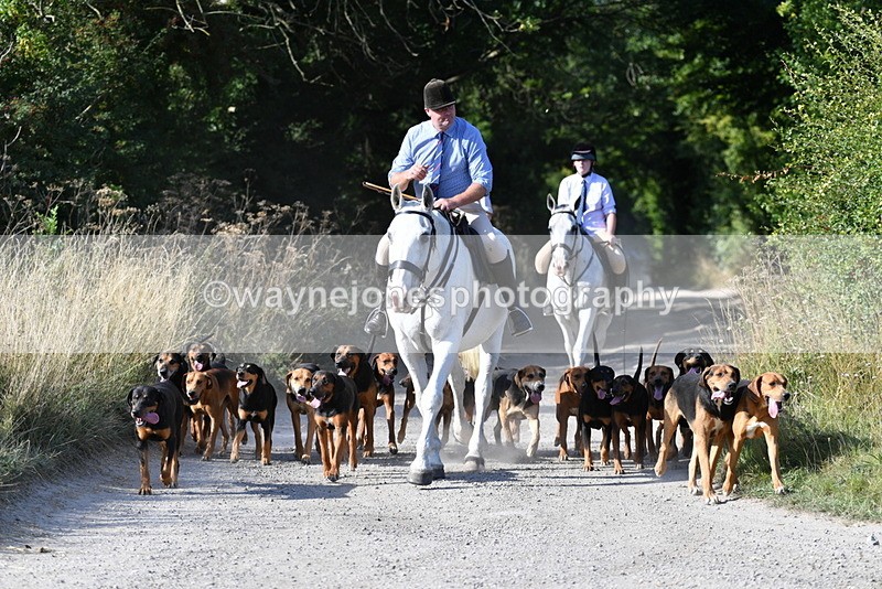 WJ5_4795 - Walk out with the hounds