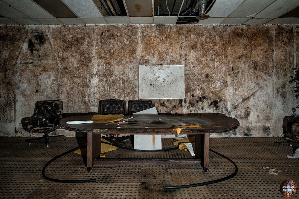 WFBR Radio (Baltimore, MD) | Black Mold - WFBR Radio