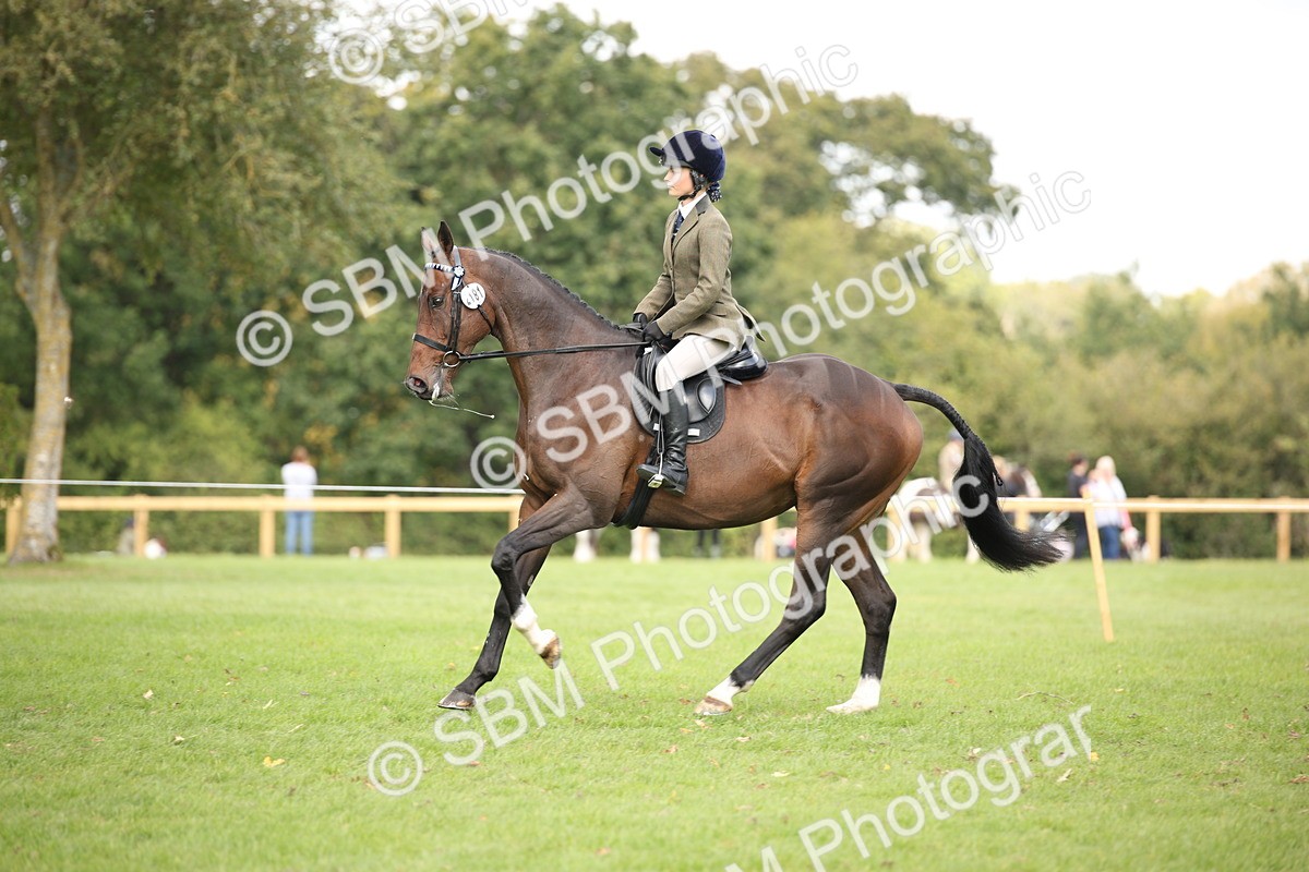 SBM_65947 - S64 - Riding Horse & Hack & Thoroughbred Ridden