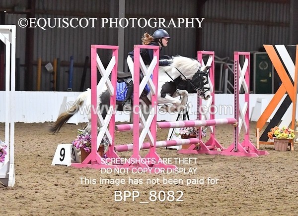 BPP_8082 - CLASS 1  Club/ Unaffiliated 60cms Open