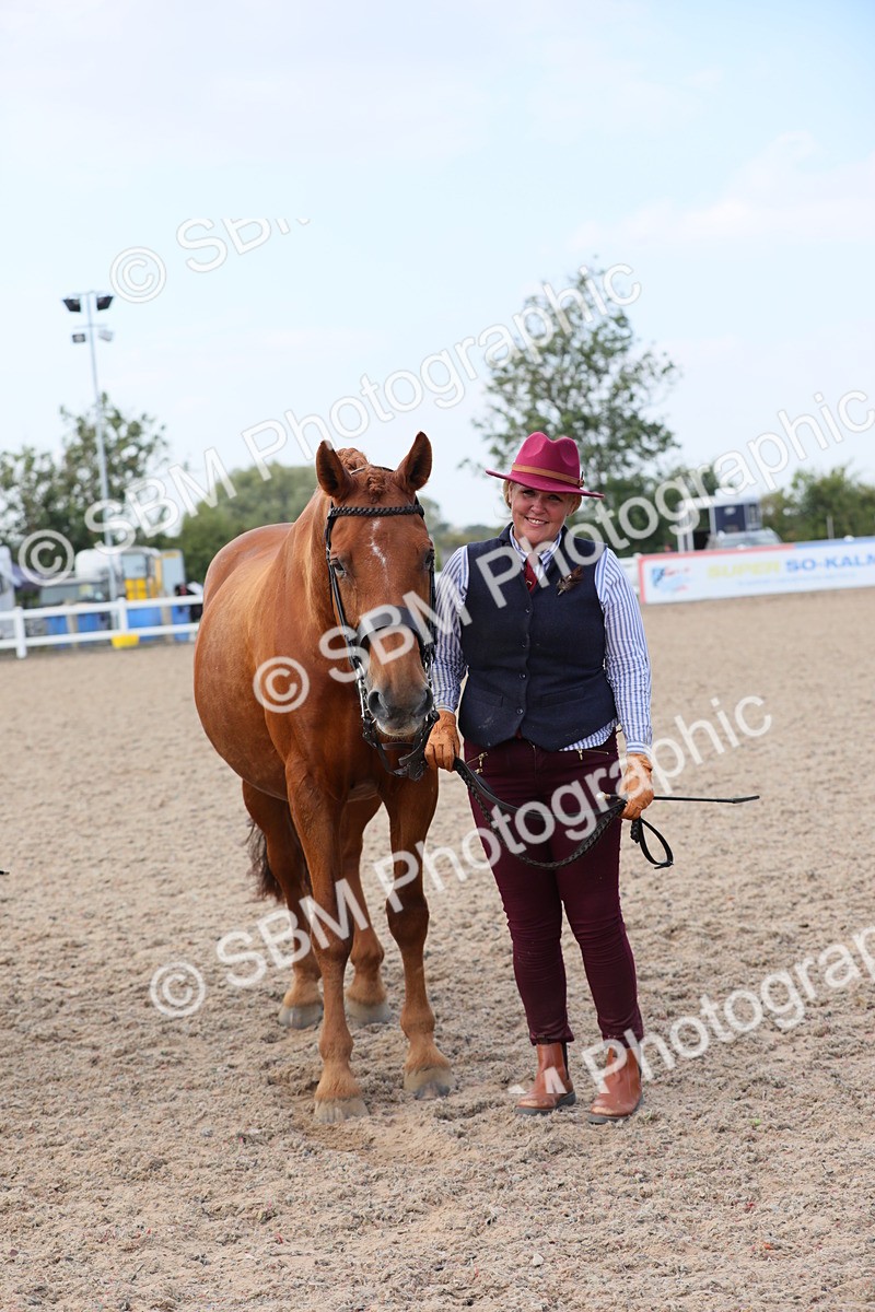 SBM_15887 - Class 312 IH Competition Horse/Pony