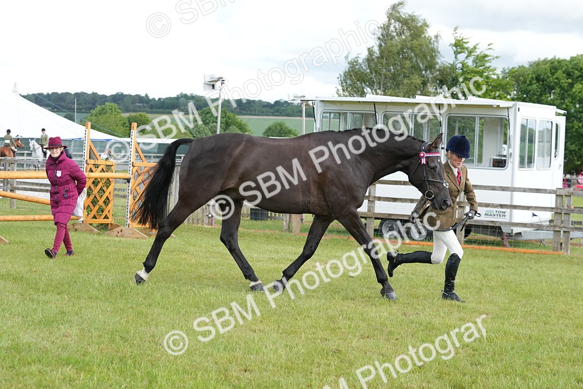 SBM_12948 - Class 99 - RIHS SEIB Working Show Horse