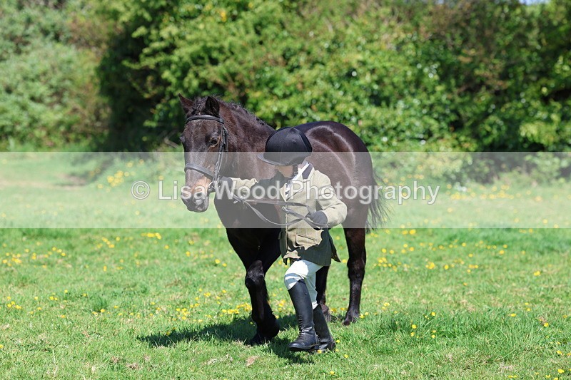 3E7A9932 - Class 17: Young Handler