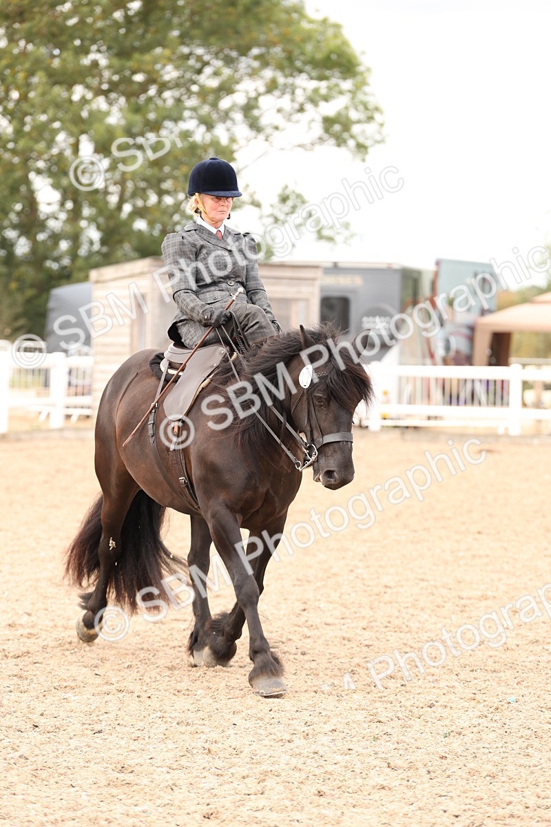 SBM_16429 - Class 211 - Best Side Saddle Horse - Pony