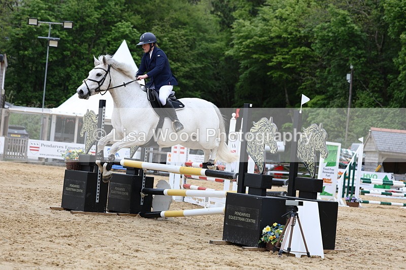 3E7A6364 - Class 4: Senior British Novice/90cm open