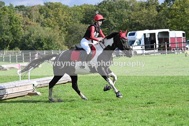 WJ7_4883 - 60cm Time 11:11 to 11:19