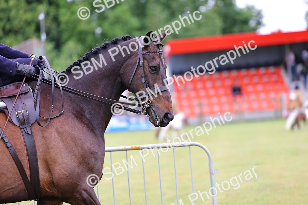 SBM_02702 - Class 9-11 Side Saddle including LIHS Rising Star Ladies Show Horse