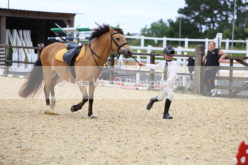 3E7A9328 - Walk trot run