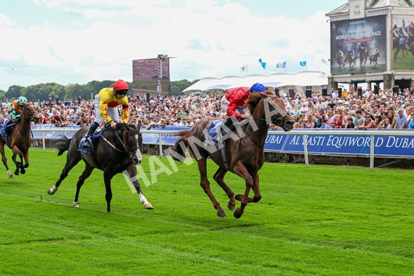 280625-Race 1-Archivist-0036 - Race 1 1.55pm Al Basti Equiworld Dubai Mile Handicap