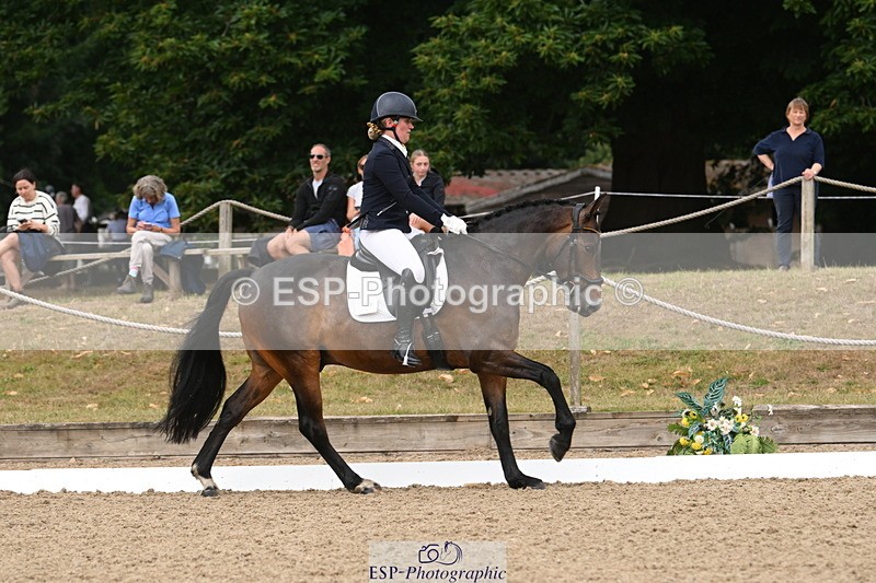 250720A-121415-10184 - 098-Becky.Littleton-Optical.Illusion