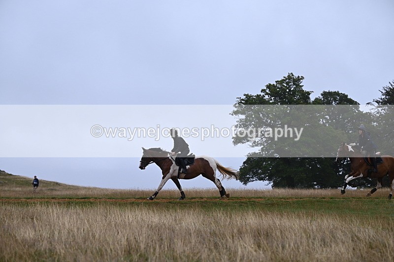 DSC_1592 - Time at Statue 11:54 to 12:12