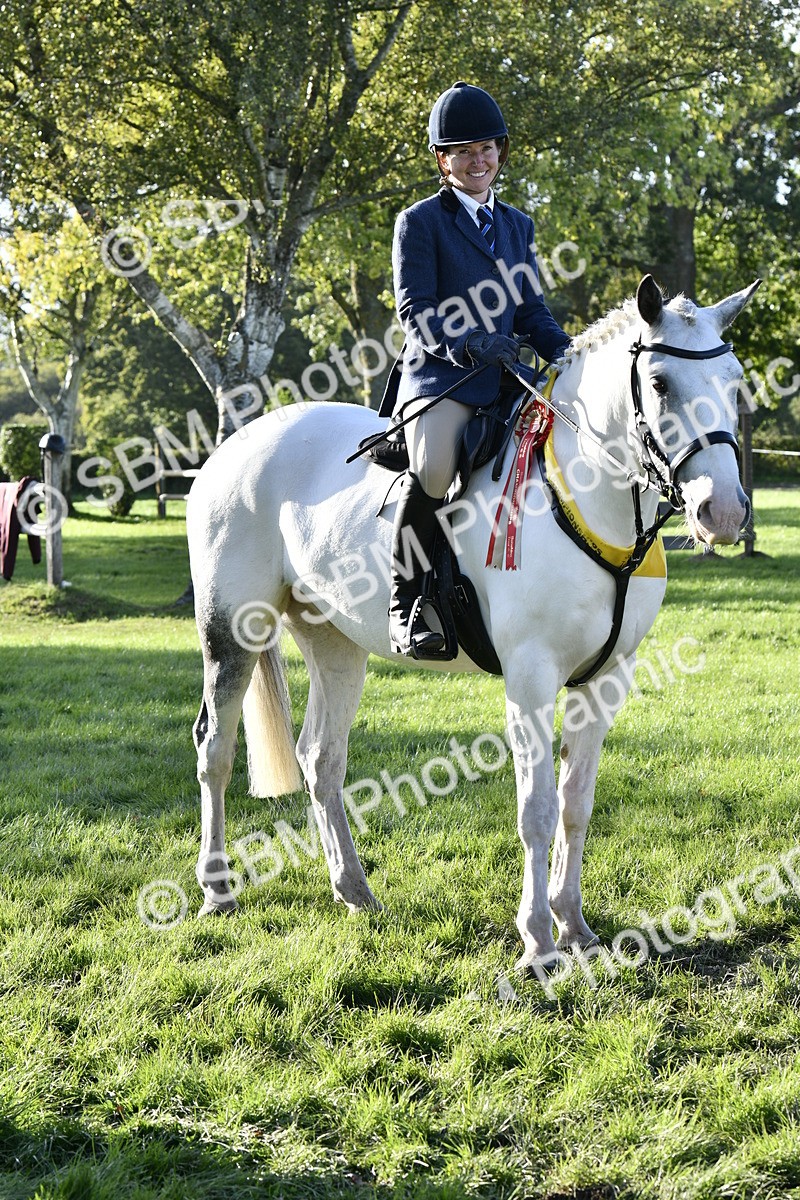 SBM_51744 - Working Hunter Supreme Championship