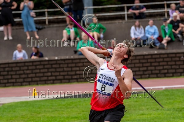 SIAB23-528473 - Field Male Set Two