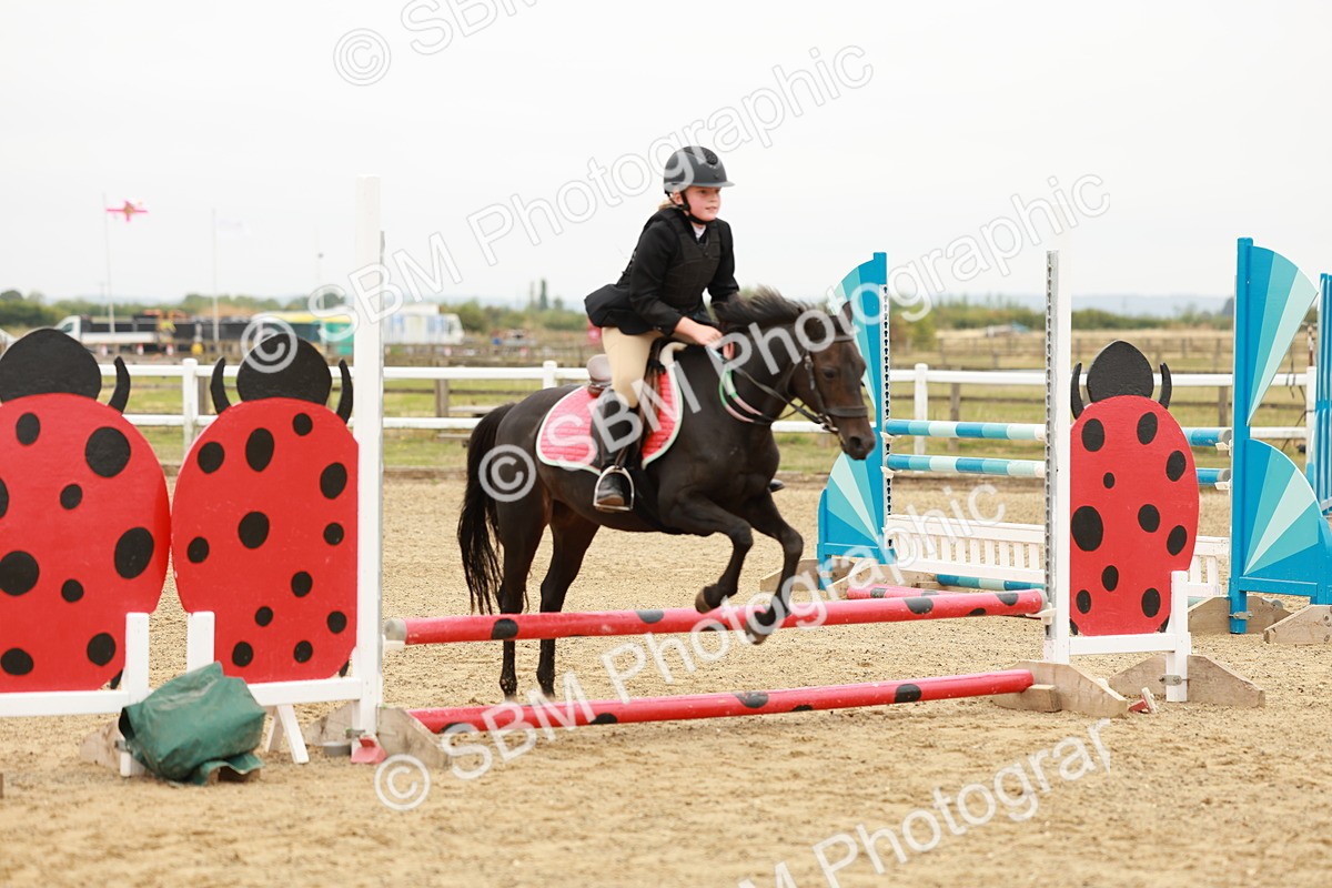 SBM_007211 - Class 2 - 50cm