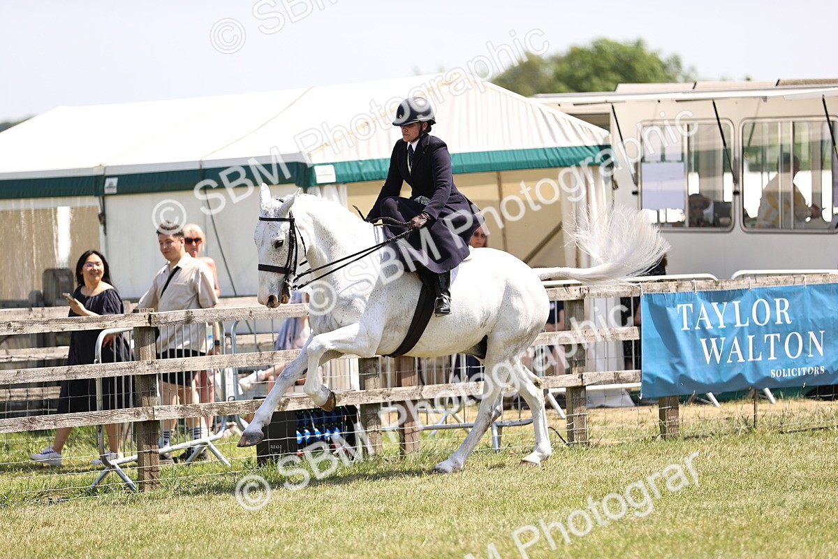 SBM_15102 - Class 79-80 - LIHS BSHA Rising Star Ridden Hunter