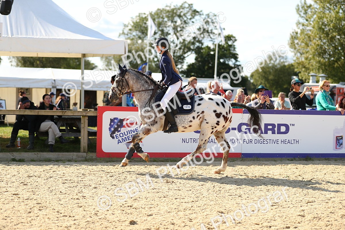 SBM_24406 - J45 - Accumulator 70 80cm