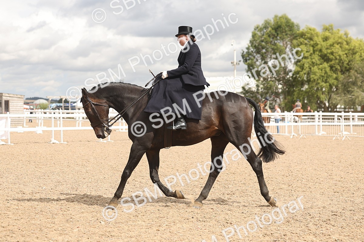SBM_06350 - Class 22 - SSA - Equitation