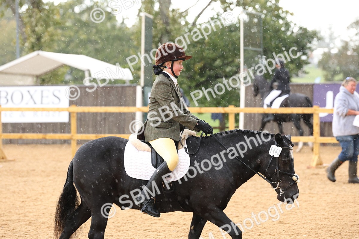 SBM_00625 - D1 - Small Tour Championship Intro 1