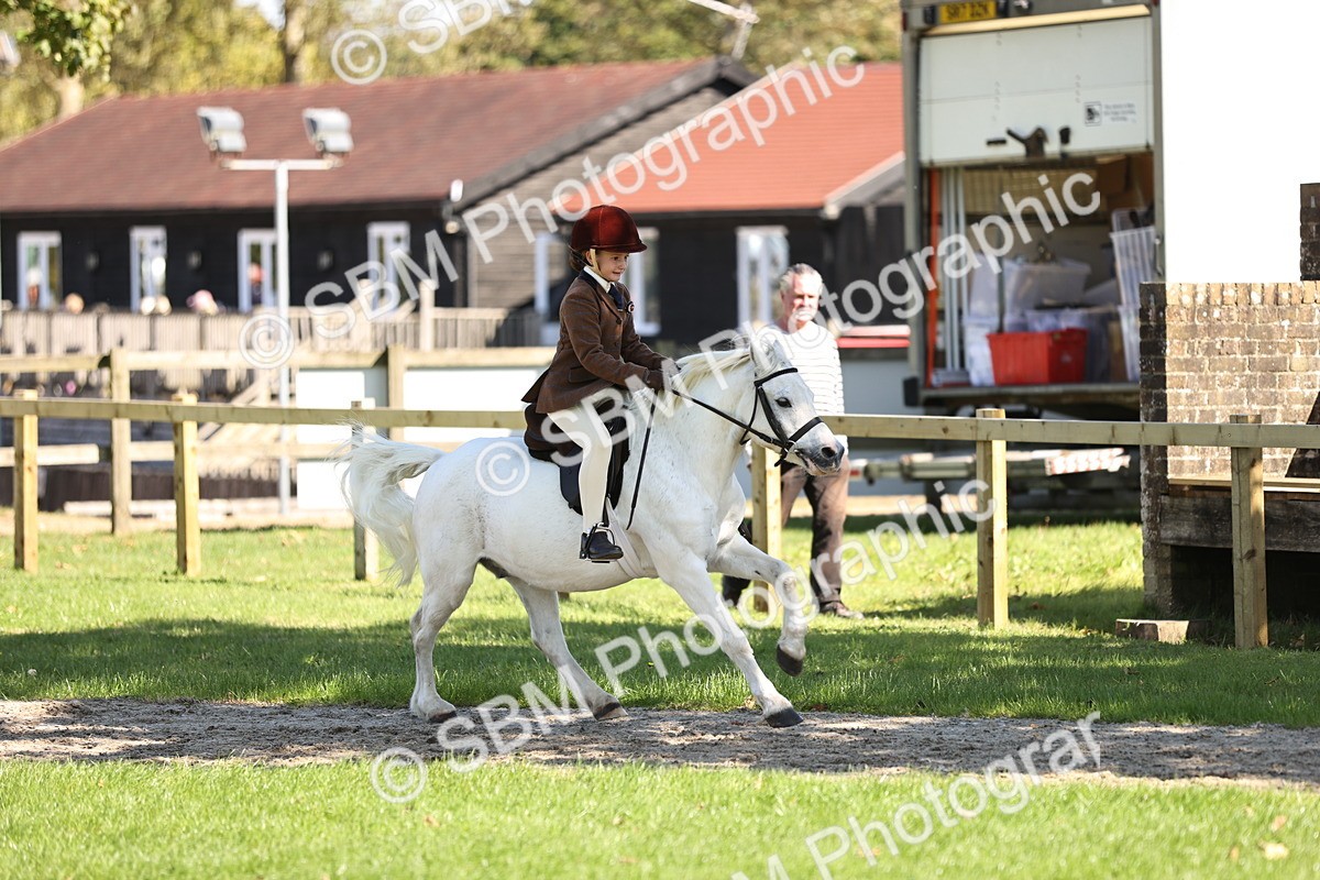 SBM_19351 - S3 - TSR Ridden Pony Showing