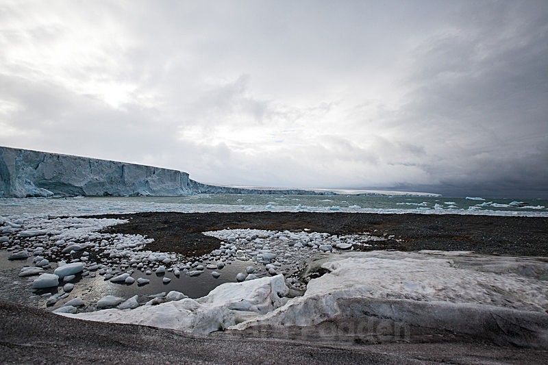 Kræmerpynten Kvitøya - Trip with MS Expedition August 2016