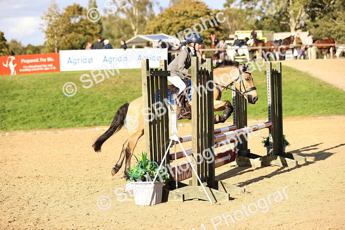 SBM_51888 - J10 - Junior Pony 75cm Championship