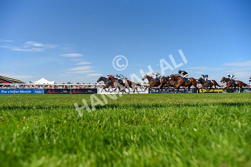 120826-Race 3-Sir David-6363 - Race 3 15.15pm Clearanswer Call Centres Handicap