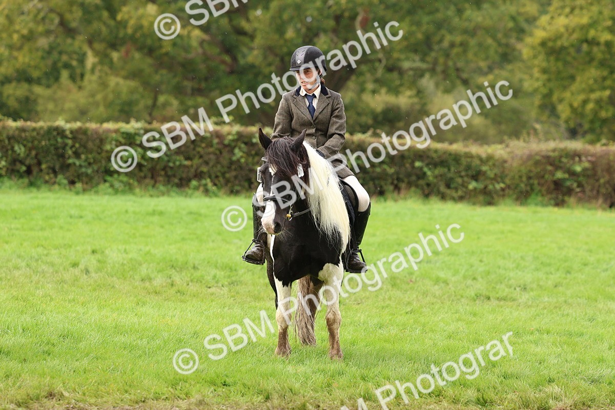 SBM_45100 - S27 - Young Veteran Ridden