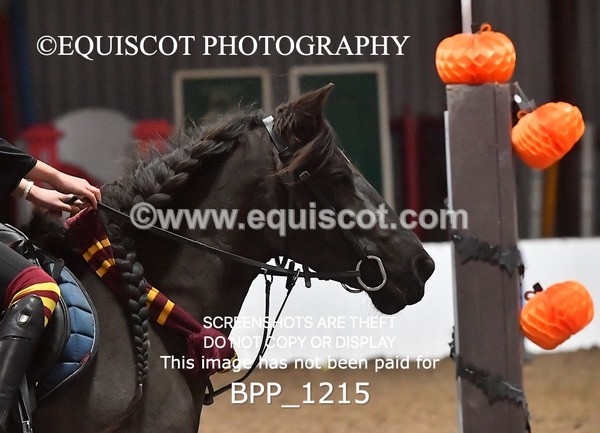 BPP_1215 - CLASS 1 TEAM SJ 20CM