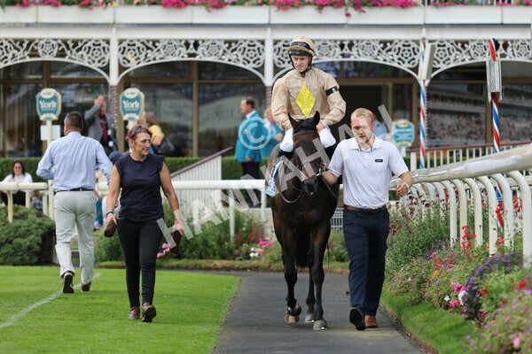 yr04092022r7-31 - Race 7 5.15pm Firmament Stakes