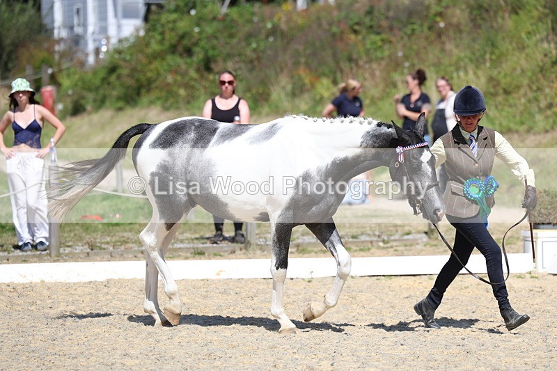 3E7A9853 - In Hand Championship