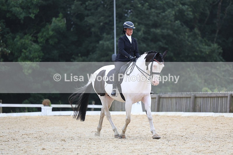 3E7A7392 - Class 9: Elementary 4 2024 - No sections