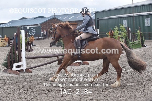 JAC_2184 - CLASS 2 Novice Working Hunter