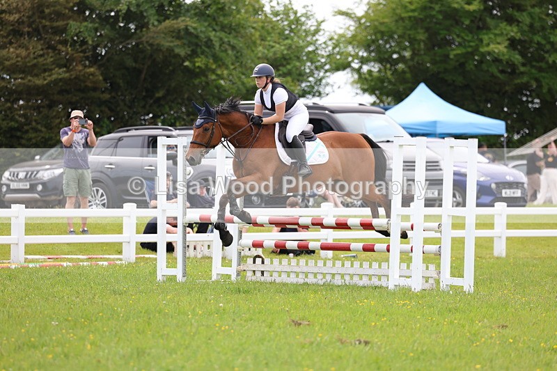 3E7A1736 - Class 13: Senior British Novice/90cm open