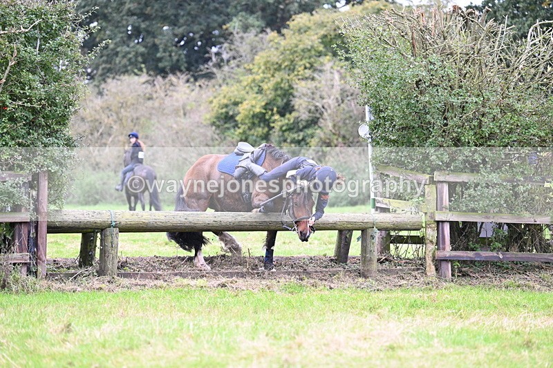 WJ7_1993 - Time at Photographer 13:27 to 14:14