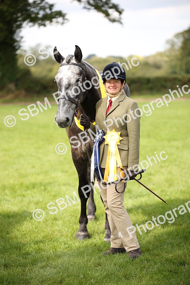 SBM_62971 - In Hand Horse Supreme Championship