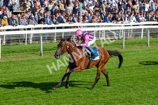 160525-Race 6-Bowmark-7171 - Race 6 4.55pm Darley EBF 'Confined' Novice Stakes