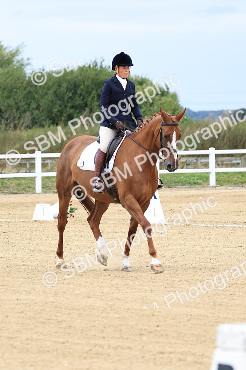 SBM_012731 - Class 6 - Elementary 53 14.00-15.20