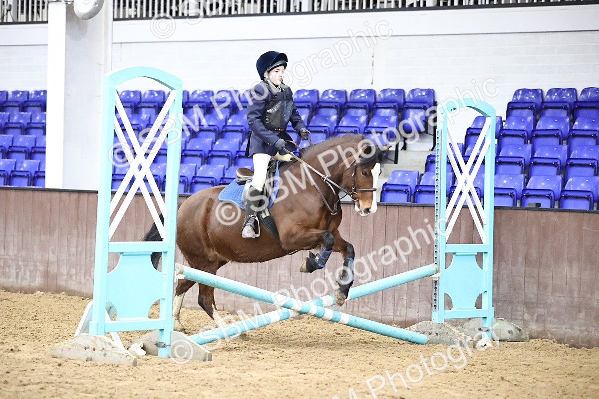 SBM_000221 - class 1 - 40cm