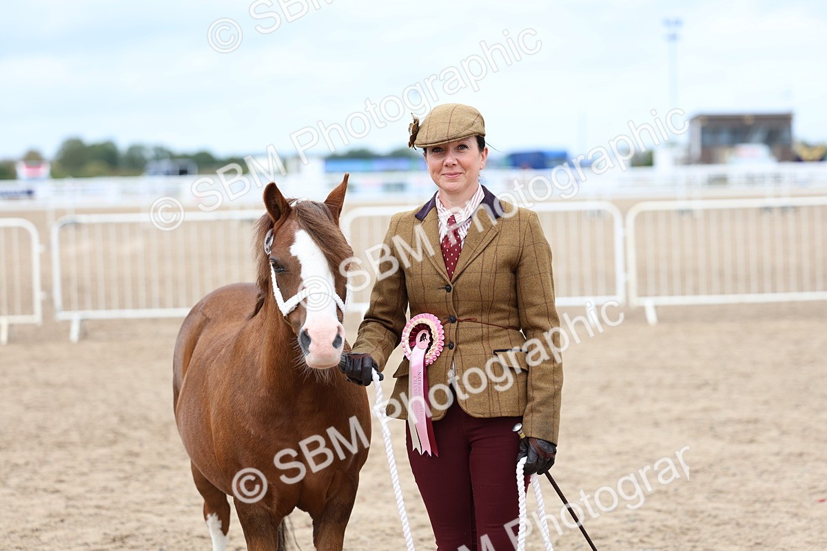 SBM_05989 - Class 29 - IH Veteran Pony